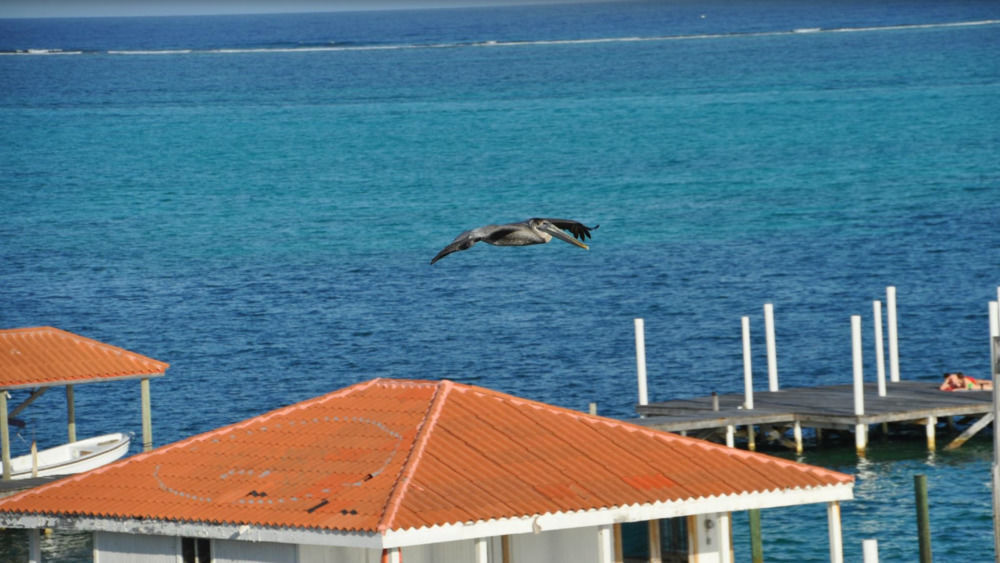 Sands Villas San Pedro  Esterno foto